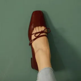 binfenxie Women Pumps Mary Jane Shoes Retro Style Thick Heel Elegant  Women Shoes Square Toe Spring Autumn Real Leather  Simple Pumps