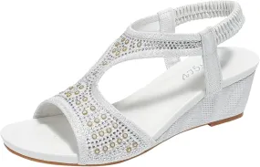 Temperament Thick Bottom Sandals for Women Classic Ankle Strap Wedge Heels Sandal Dress Sandals for Women
